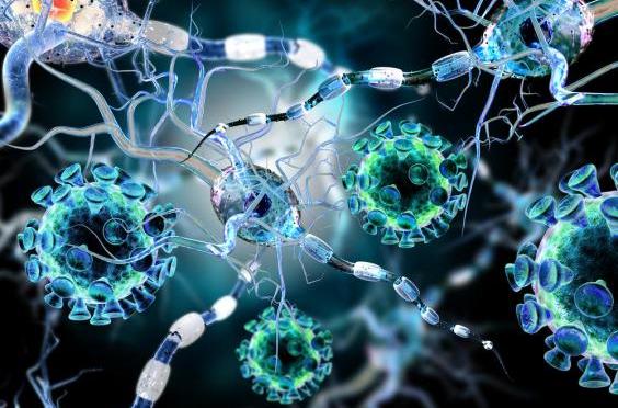 New-therapy-could-halt-multiple-sclerosis-progress